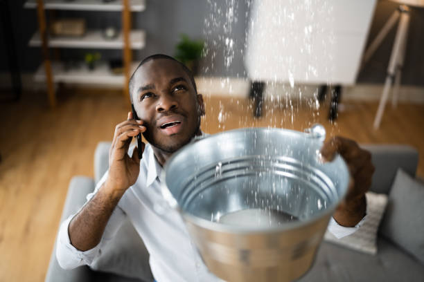 Best Local water damage restoration  in Lititz, PA