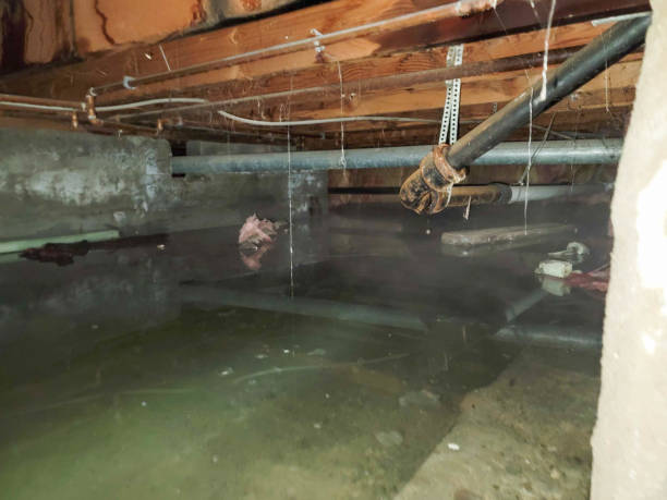Best Flooded house restoration  in Lititz, PA