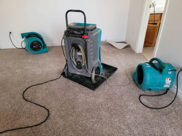 Best Professional water damage repair  in Lititz, PA