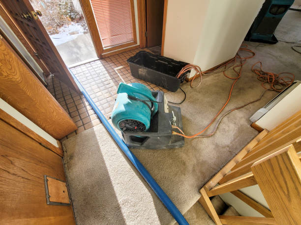 Best Water damage restoration near me  in Lititz, PA