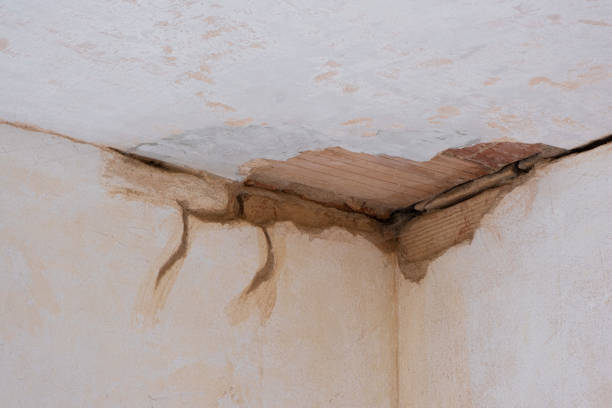 Best Ceiling water damage repair  in Lititz, PA