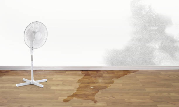 Reliable Lititz, PA Water damage restoration Solutions