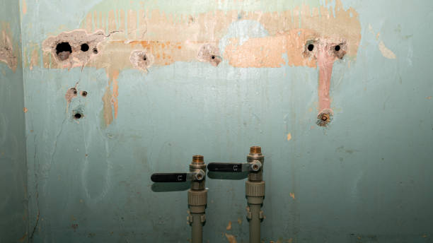 Best Water damage restoration services  in Lititz, PA