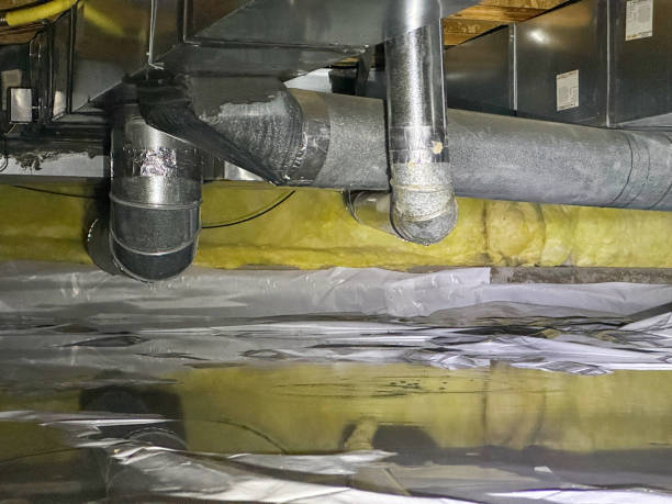Best Water damage mitigation services  in Lititz, PA