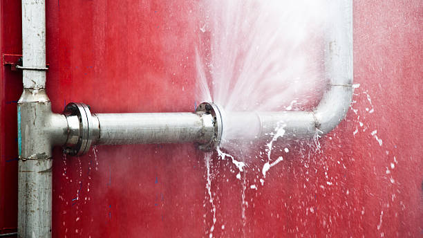 Best Water damage cleanup near me  in Lititz, PA